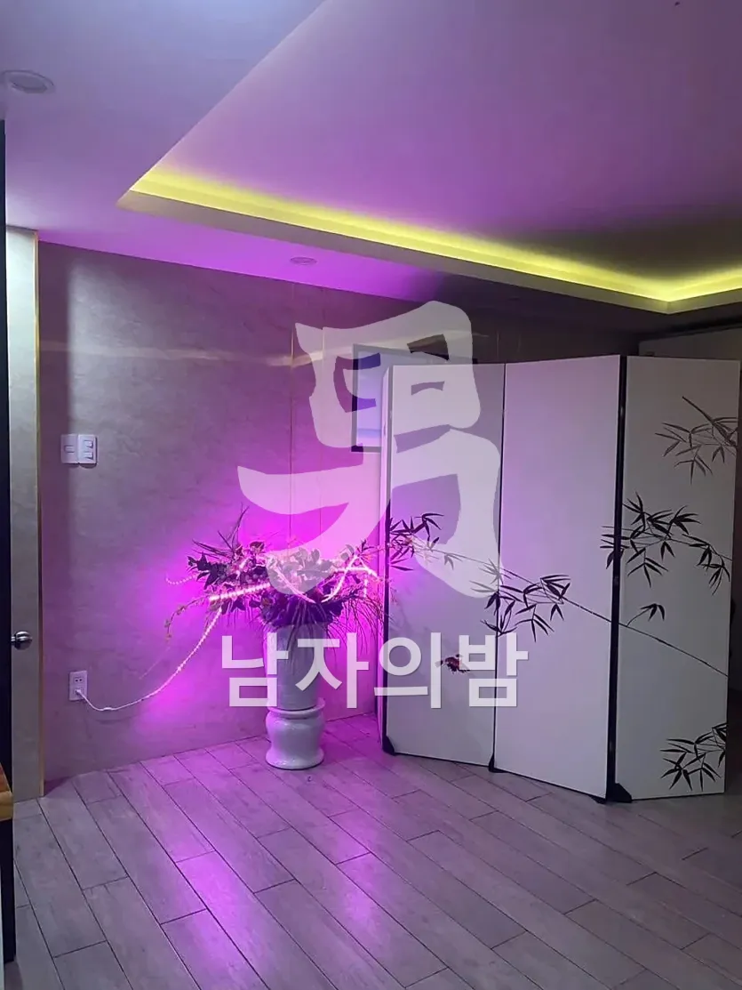 다낭 DLG 사쿠라 마사지 은은한 조명의 입구 로비