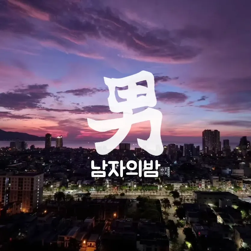 다낭 밤 노을 한강변 도심 야경 스카이라인 남자의밤 직접 촬영