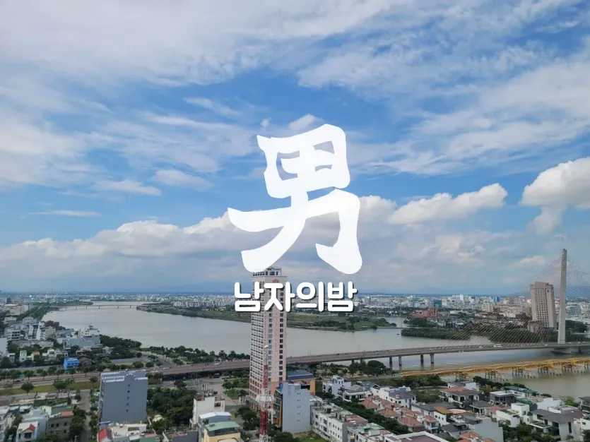 다낭 한강 다리 주간 스카이라인 도심 전경