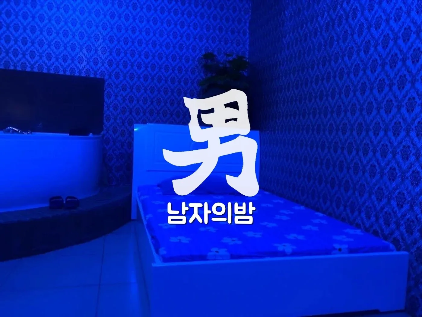 하노이 악양루 동다구 매장 외관과 간판 야경