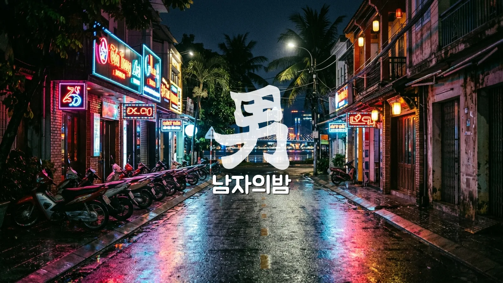 다낭 밤거리 네온 간판과 가라오케 골목 야경