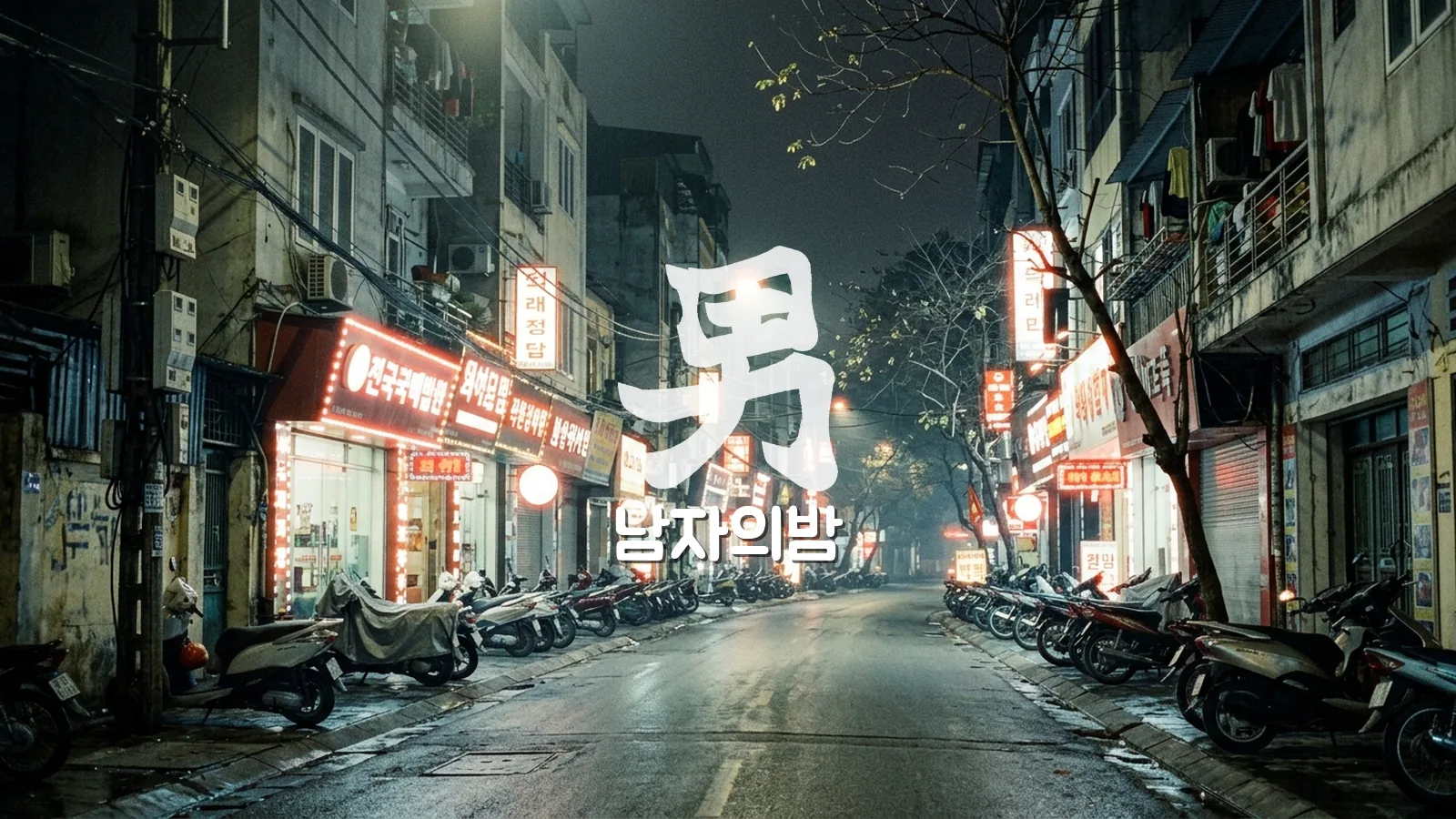 하노이 미딩 밤거리 가라오케 간판과 골목 풍경