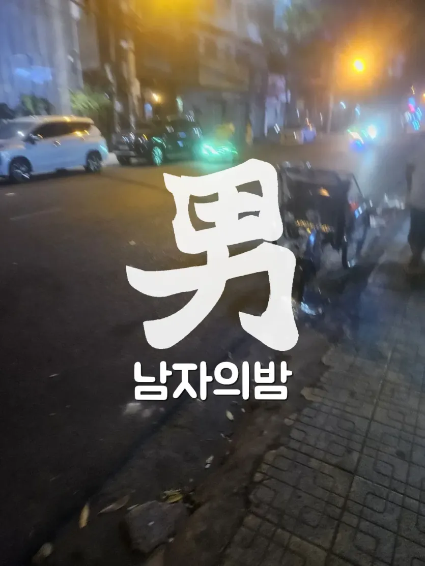 나트랑 밤거리 LED 씨클로 야경