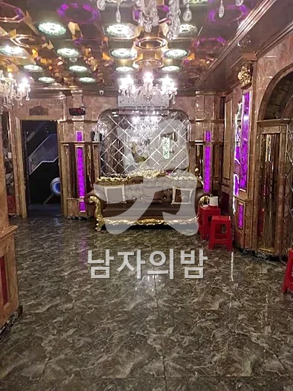 푹신한 소파가 놓인 아늑한 소규모 룸